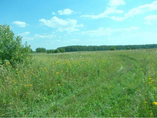 Продается участок 6,5 Га. в деревне Степаниха. в городе Александров, фото 1, Владимирская область