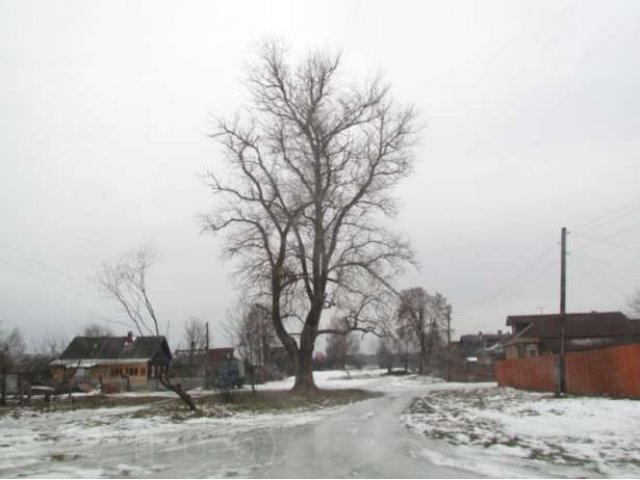 Участок 25с. в деревне в 110км от МКАД по Ярославске в городе Александров, фото 7, Продажа земли под индивидуальное строительство