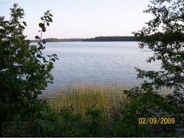 Земельный участок в городе Пустошка, фото 3, Псковская область