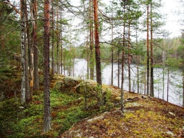 Продается участок в Финляндии. в городе Санкт-Петербург, фото 1, Ленинградская область