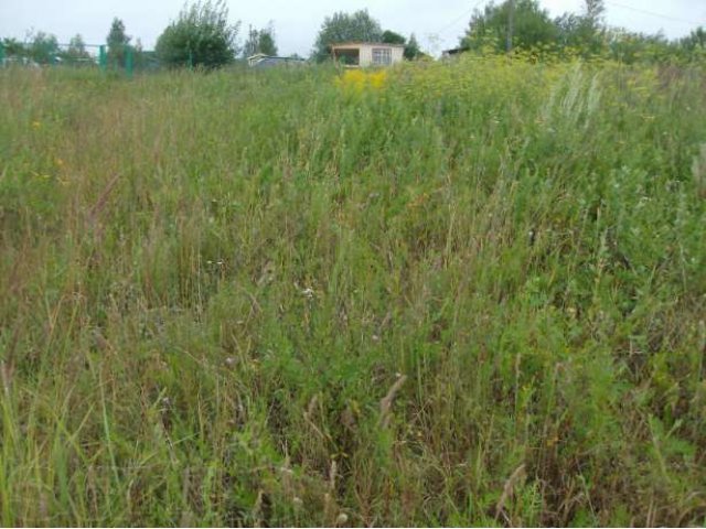 Баранцево д. участок 10 сот (ЛПХ) в городе Алексин, фото 2, Тульская область