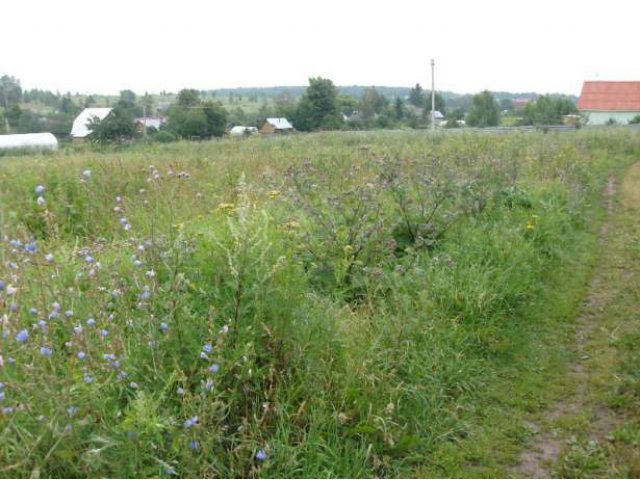 Баранцево д. участок 10 сот (ЛПХ) в городе Алексин, фото 4, Продажа земли под индивидуальное строительство