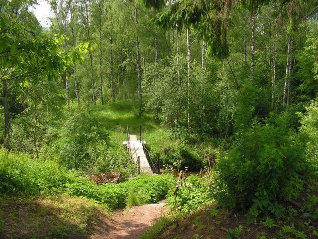 Павлово-на Неве в городе Кировск, фото 3, стоимость: 950 000 руб.