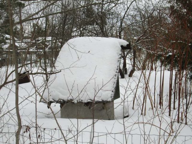 Павлово-на Неве в городе Кировск, фото 5, Ленинградская область