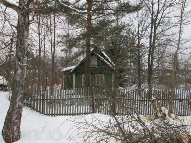 Павлово-на Неве в городе Кировск, фото 7, Продажа земли под индивидуальное строительство