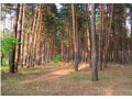 Участок на реке Луга в городе Кингисепп, фото 2, стоимость: 400 000 руб.