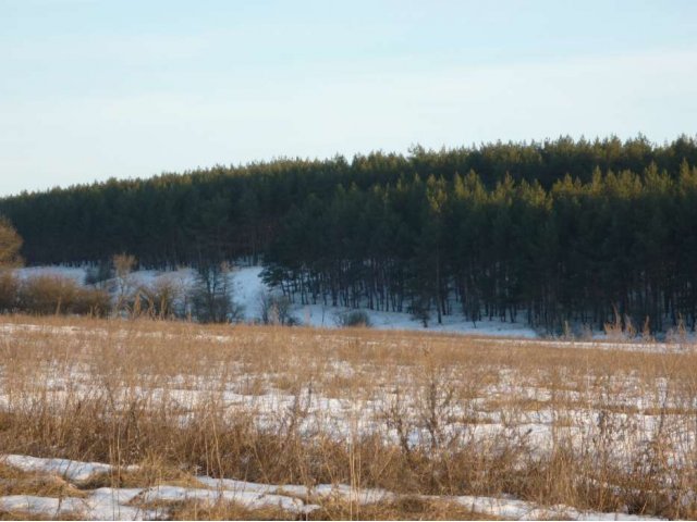 Продам участок под ИЖС 15 соток в с. Гостищево. Рядом сосновый бор. в городе Строитель, фото 1, Продажа земли под индивидуальное строительство