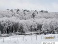 Участок в поселке на реке в городе Таруса, фото 6, Продажа земли под индивидуальное строительство