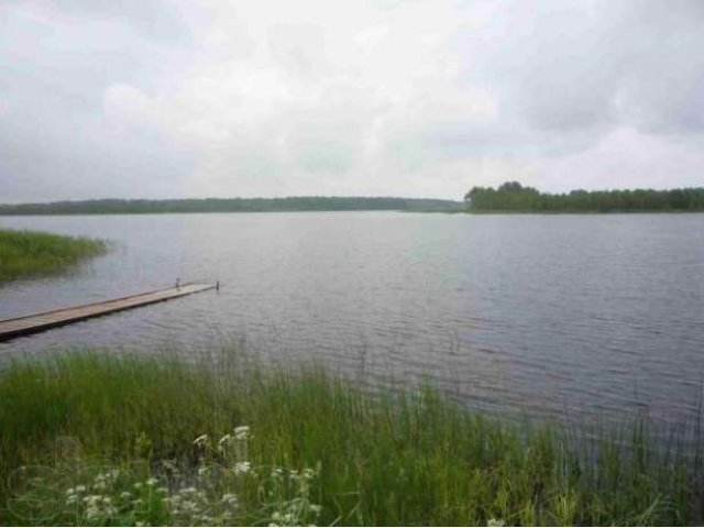 Купить Участок Юрково Сокольский Район Нижегородская Область