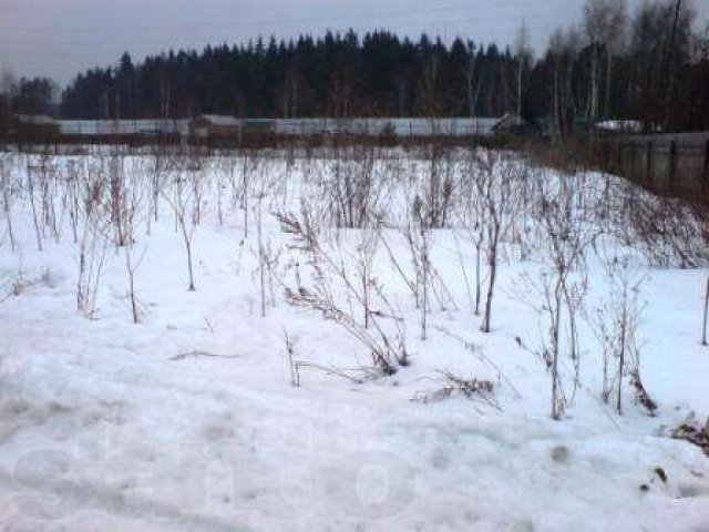 Продаю участок земли в ДСК Колос. в городе Одинцово, фото 1, Продажа земли под индивидуальное строительство