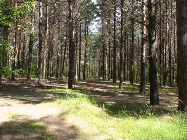 Участок 15 сот (ЛПХ) в д. Богунино Кимрский район в городе Кимры, фото 1, Тверская область