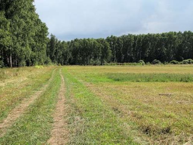 участки от собственника в дДятлицы в городе Санкт-Петербург, фото 1, стоимость: 200 000 руб.