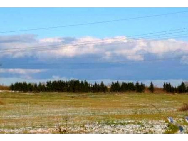 участки от собственника в дДятлицы в городе Санкт-Петербург, фото 3, Ленинградская область