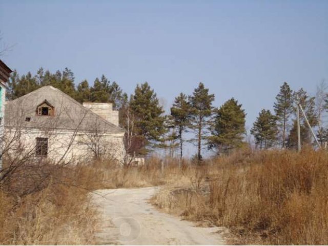 БАЗА в селе Паруновка в городе Белогорск, фото 2, Амурская область