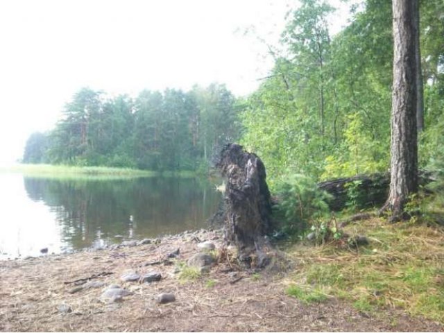 Приозерский р-н.Кротово уч-ок на полуострове 50 соток в городе Приозерск, фото 5, стоимость: 2 700 000 руб.