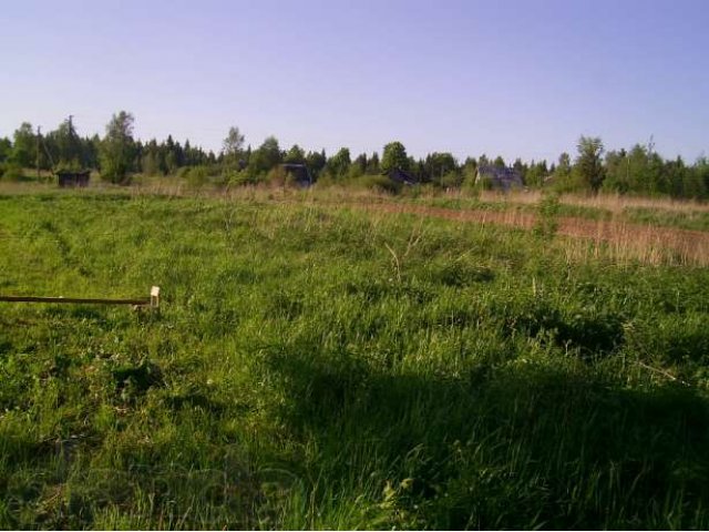 Участок в потанино волховский район в городе Волхов, фото 3, Продажа земли под индивидуальное строительство