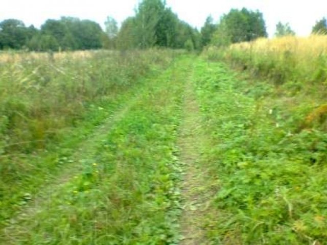 16 соток земли в деревне ИЖС в городе Струнино, фото 2, Владимирская область