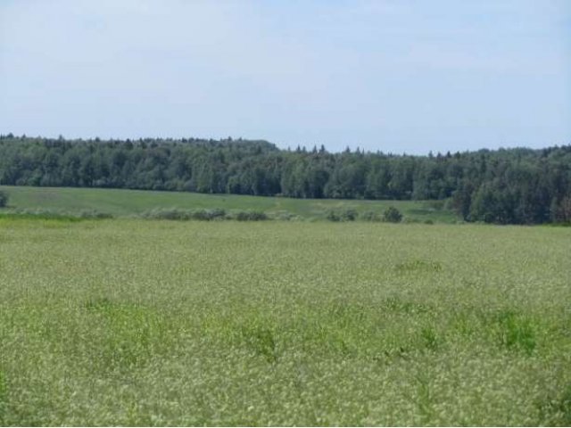 Участок в д.Лукьяново в городе Малоярославец, фото 2, стоимость: 1 200 000 руб.