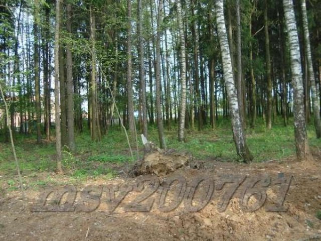 Участок 19 лесной под И.Ж.С. пл.16,85 сот. в Милюково (Первомайское) в городе Апрелевка, фото 3, стоимость: 8 551 793 руб.