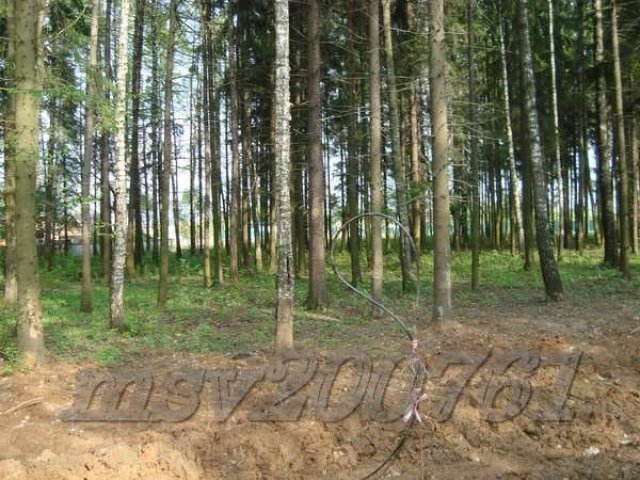 Участок 19 лесной под И.Ж.С. пл.16,85 сот. в Милюково (Первомайское) в городе Апрелевка, фото 4, Продажа земли под индивидуальное строительство