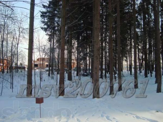 Участок 19 лесной под И.Ж.С. пл.16,85 сот. в Милюково (Первомайское) в городе Апрелевка, фото 7, Продажа земли под индивидуальное строительство