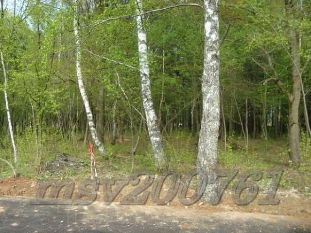 Участок 25 лесной под И.Ж.С. пл.17 сот. в Милюково (Первомайское) в городе Апрелевка, фото 5, Московская область