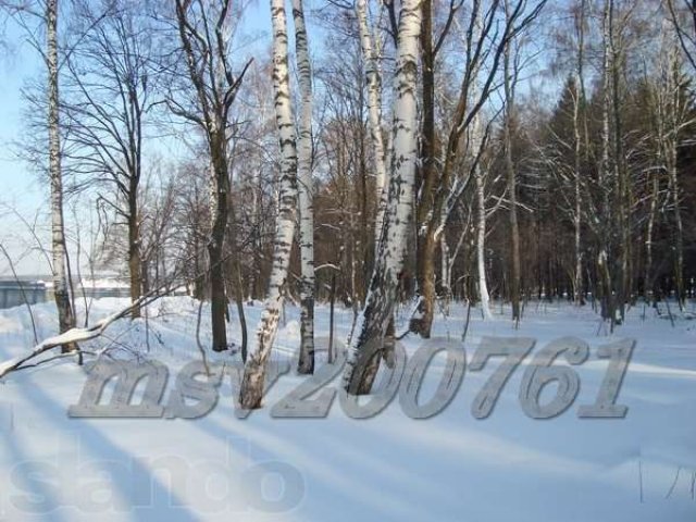 Участок 25 лесной под И.Ж.С. пл.17 сот. в Милюково (Первомайское) в городе Апрелевка, фото 7, Продажа земли под индивидуальное строительство