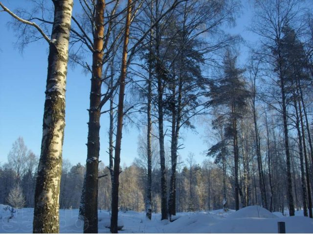 Васкелово, 40 соток на берегу Грузинки,пирс,30 кВт в городе Санкт-Петербург, фото 2, стоимость: 9 600 000 руб.