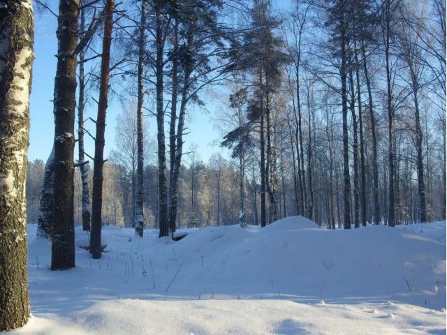 Васкелово, 40 соток на берегу Грузинки,пирс,30 кВт в городе Санкт-Петербург, фото 6, Продажа земли под индивидуальное строительство