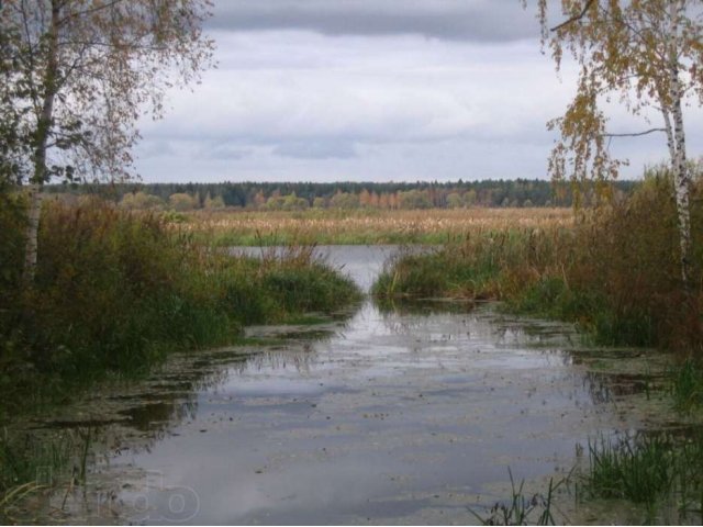 Купить Участок Земли На Берегу Волги