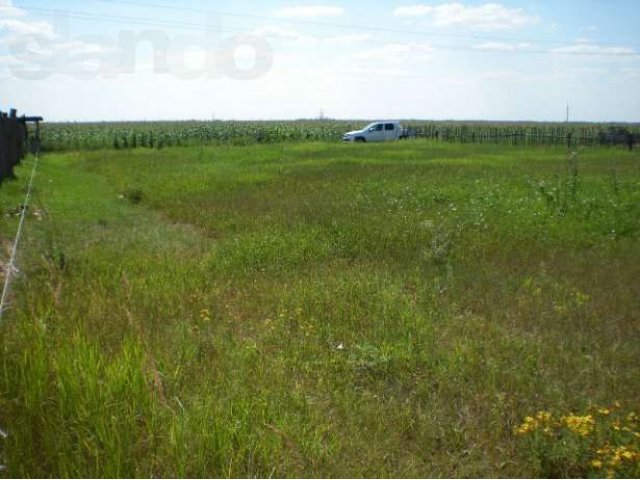 Земельный участок в Новосидорихе в городе Шатура, фото 2, Продажа земли под индивидуальное строительство