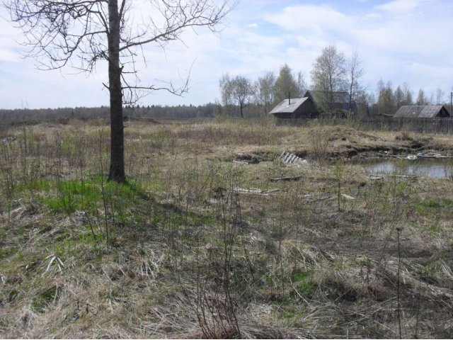 Продам зем.уч-к в п.Молодцово в городе Кировск, фото 2, Ленинградская область