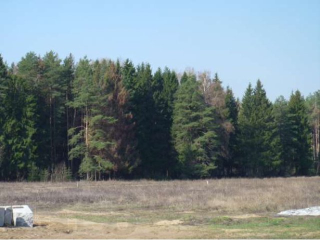 Продаем хорошие земельные участки Ногинский р-н в городе Ногинск, фото 1, Продажа земли под индивидуальное строительство