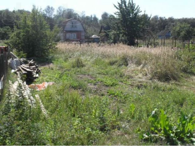 Продаётся участок 6 соток в СНТ Автомобилист п. Чемодурово в городе Воскресенск, фото 4, Продажа земли под индивидуальное строительство