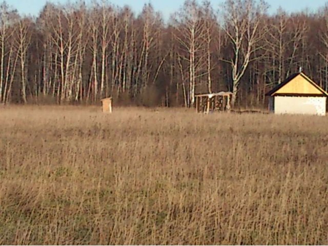 Земельный участок 20 соток в деревне лпх в городе Чехов, фото 4, Продажа земли под индивидуальное строительство