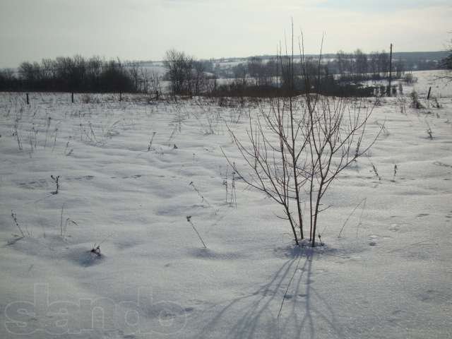 Усасток в живописном месте! в городе Жуков, фото 3, стоимость: 2 340 руб.