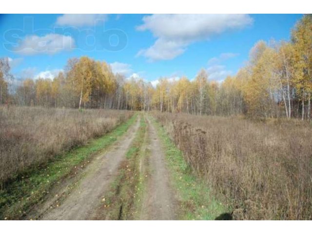 Участки для ИЖС в дачном посёлке МАХАОН на берегу Волги. в городе Углич, фото 3, стоимость: 250 000 руб.