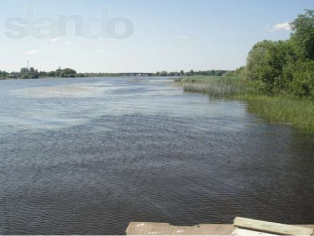 Земля в Пошехонье на самом берегу, пирс, дорога, строения, в городе Пошехонье, фото 4, Продажа земли под индивидуальное строительство