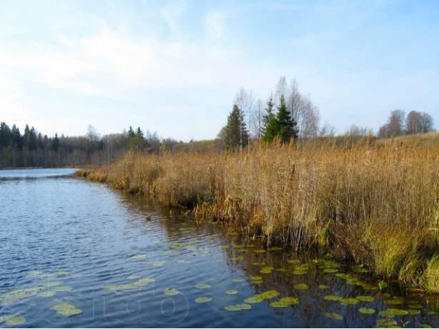 Земля 7,25 Га под ИЖС Хвойненский район, Новгородская область,д.Дубьё в городе Боровичи, фото 3, стоимость: 3 500 000 руб.