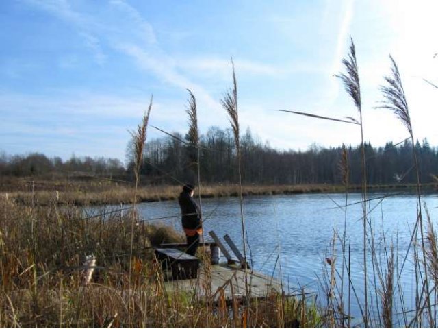 Земля 7,25 Га под ИЖС Хвойненский район, Новгородская область,д.Дубьё в городе Боровичи, фото 5, Новгородская область