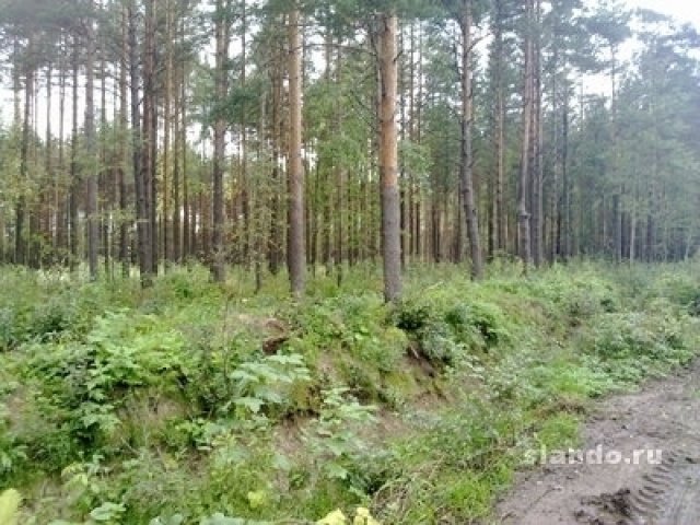 Продам земельный участок 17 соток Днп Памир в городе Санкт-Петербург, фото 1, стоимость: 2 250 000 руб.