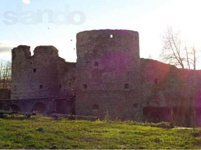 Продам участок в деревне Подозванье-Копорье. в городе Санкт-Петербург, фото 7, Продажа земли под индивидуальное строительство