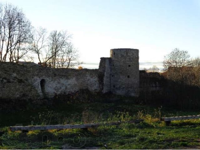 Продам участок в деревне Подозванье-Копорье. в городе Санкт-Петербург, фото 8, Ленинградская область