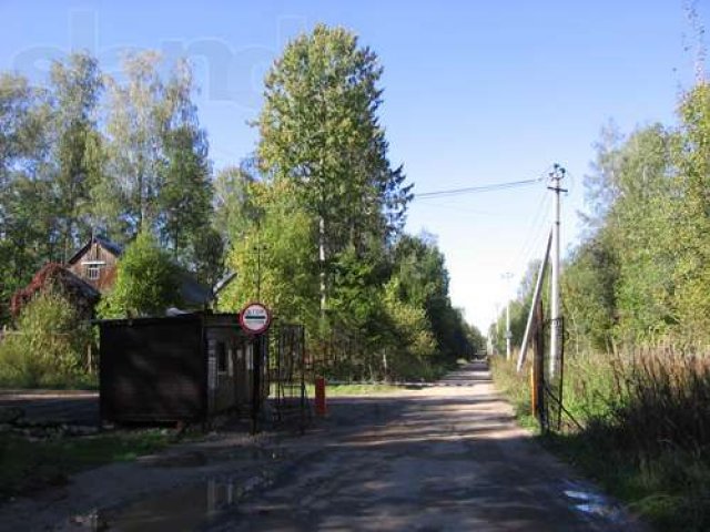 Продаю шикарный лесной участок в поселке от Мин. Обороны.  Рядом озеро в городе Клин, фото 2, Московская область