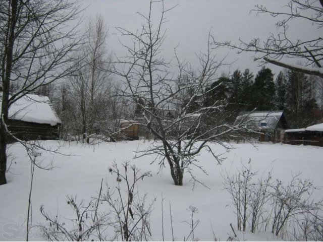 Продам участок 18 соток в п.Ульяновка в городе Санкт-Петербург, фото 2, Ленинградская область