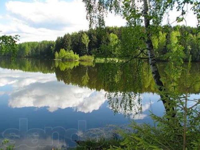 продам участок в 25 соток в сосново в городе Сертолово, фото 1, Ленинградская область