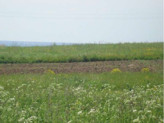 Земельный участок 15 соток в городе Переславль-Залесский, фото 2, Ярославская область