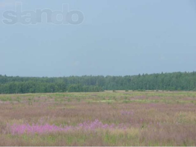 Участок ИЖС 10 соток с.Ворсино у реки в городе Балабаново, фото 2, Продажа земли под индивидуальное строительство