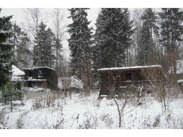 Всеволожск 20 соток ижс. в городе Санкт-Петербург, фото 3, Продажа земли под индивидуальное строительство