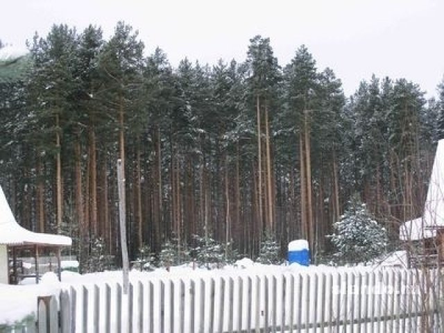 20 соток Ижс, Горы (д. Новинка) в городе Санкт-Петербург, фото 1, стоимость: 900 000 руб.